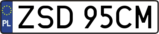 ZSD95CM