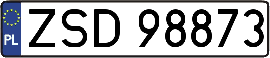 ZSD98873