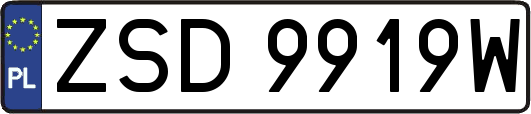 ZSD9919W
