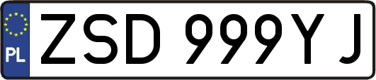 ZSD999YJ
