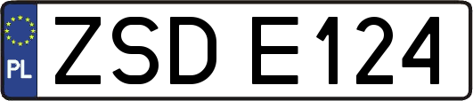 ZSDE124