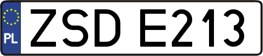 ZSDE213
