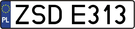 ZSDE313