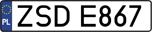 ZSDE867