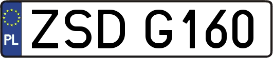 ZSDG160