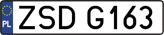 ZSDG163