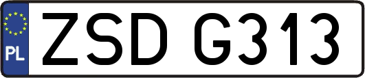 ZSDG313