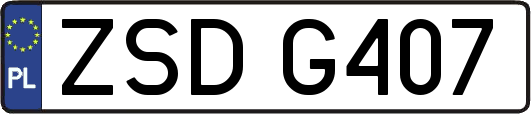 ZSDG407