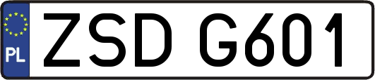ZSDG601