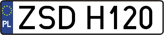 ZSDH120