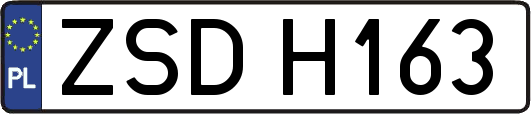 ZSDH163