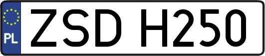 ZSDH250