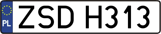 ZSDH313