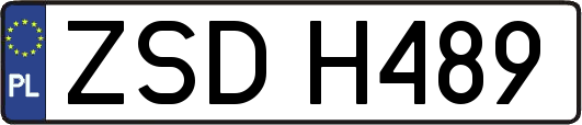 ZSDH489