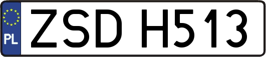ZSDH513