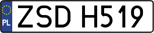 ZSDH519