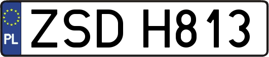 ZSDH813