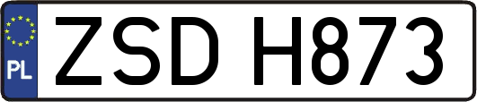 ZSDH873