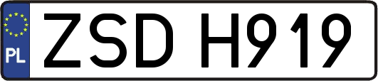 ZSDH919