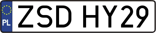 ZSDHY29