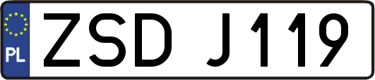 ZSDJ119