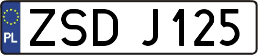 ZSDJ125