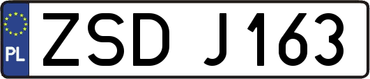 ZSDJ163