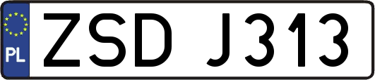 ZSDJ313