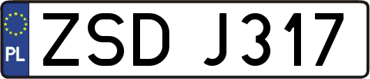 ZSDJ317