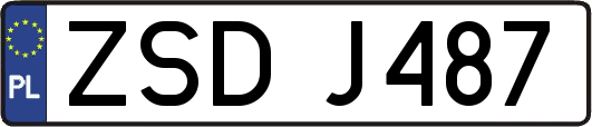 ZSDJ487