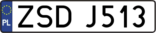 ZSDJ513