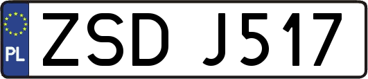 ZSDJ517
