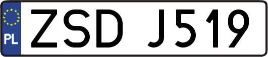 ZSDJ519