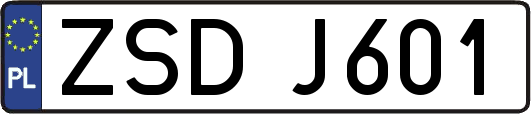 ZSDJ601