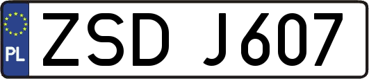 ZSDJ607