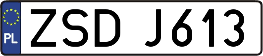 ZSDJ613