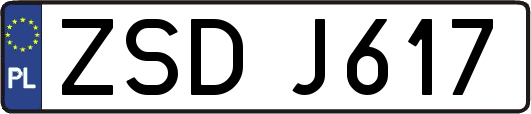 ZSDJ617