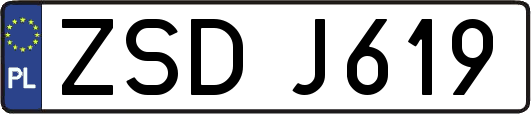 ZSDJ619
