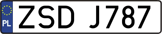 ZSDJ787