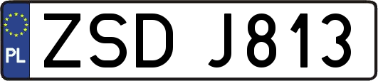 ZSDJ813