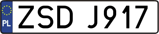 ZSDJ917