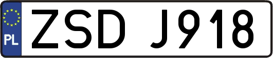 ZSDJ918