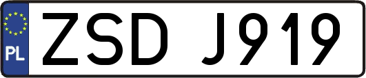 ZSDJ919