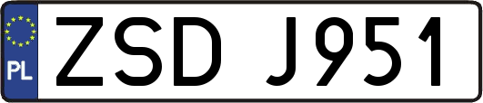 ZSDJ951