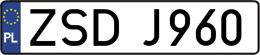 ZSDJ960