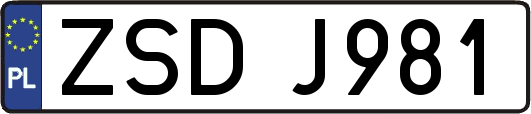 ZSDJ981