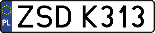 ZSDK313