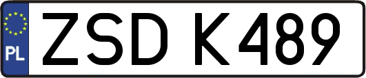 ZSDK489