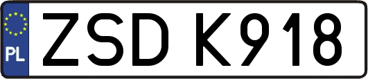 ZSDK918