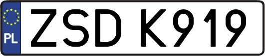 ZSDK919